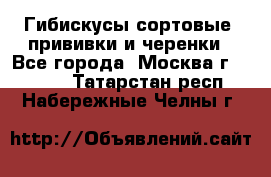 Гибискусы сортовые, прививки и черенки - Все города, Москва г.  »    . Татарстан респ.,Набережные Челны г.